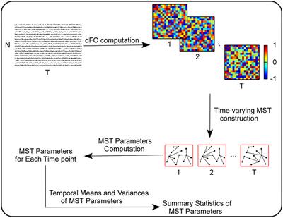 Aberrant dynamic minimal spanning tree parameters within default mode network in patients with autism spectrum disorder